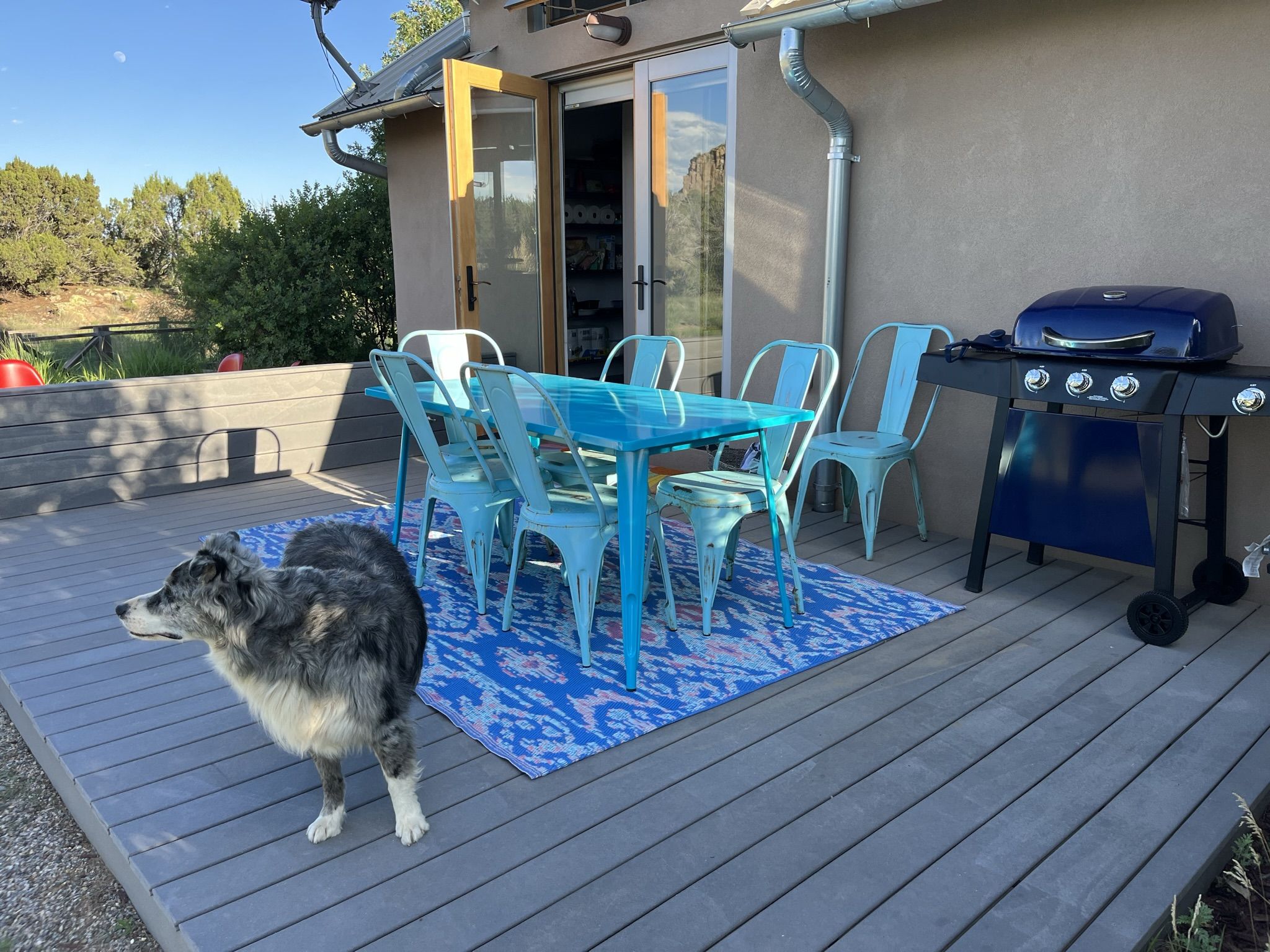 Back Patio Dining Area with Grill